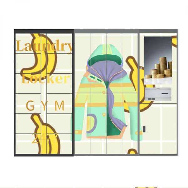 Armario inteligente CRS de la limpieza en seco de los armarios electrónicos elegantes del lavadero