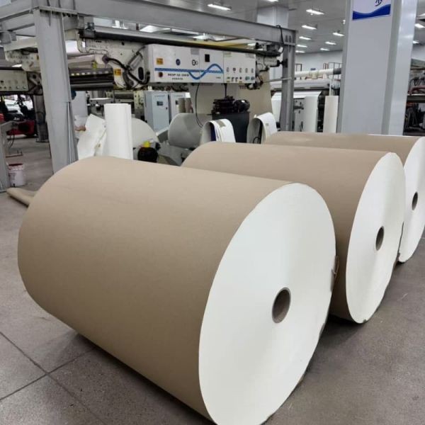 Food Grade Customizable PE Coated White Paper Cup Rolls Flexography Printing Beverage Wrapping