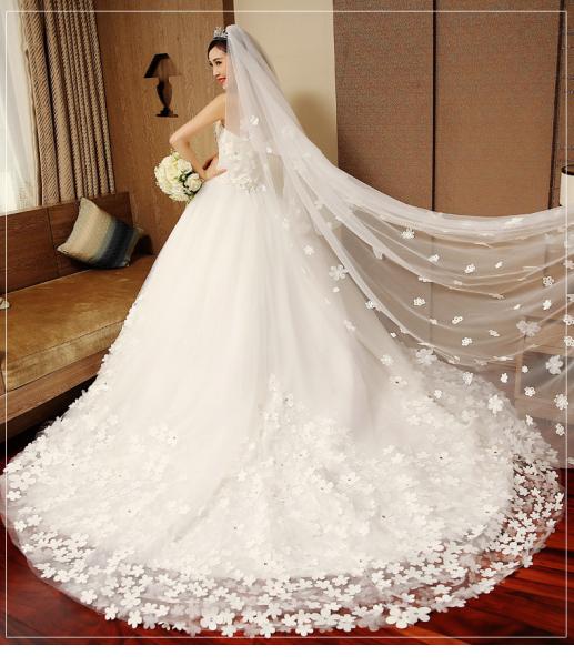 White Appliques Lace Up Long Train Wedding Dress TSYLHS001