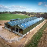 Structure en acier de poulet peint maison de volaille ASTM DIN GB JIS