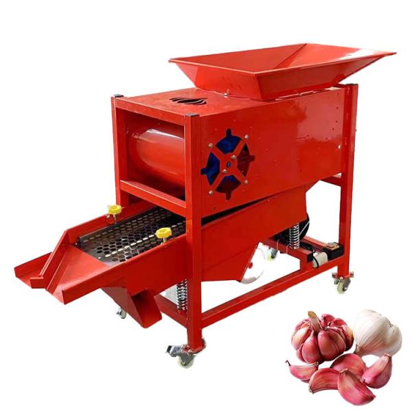 Efficient Garlic Separator Large Capacity Garlic Sorting Machine Factory Direct Sale Garlic  1000 Kg Garlic Sorting Machine