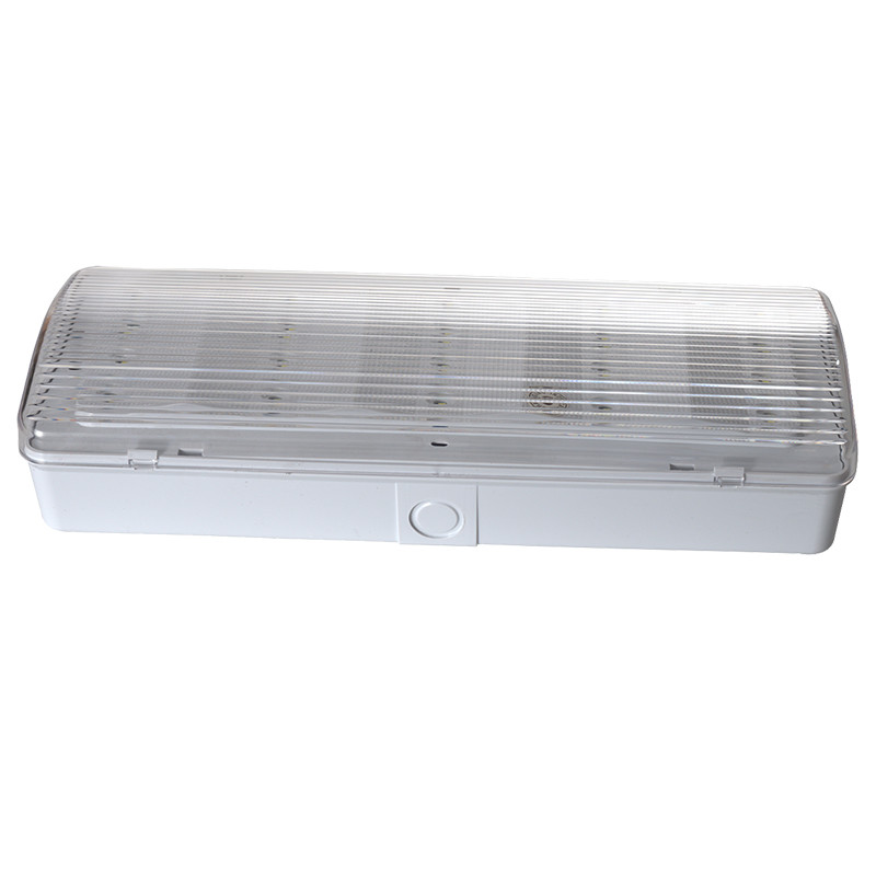 Wall Surface Mounted 220V 240V LED Emergency Light 3 Hours Duration EL015BN