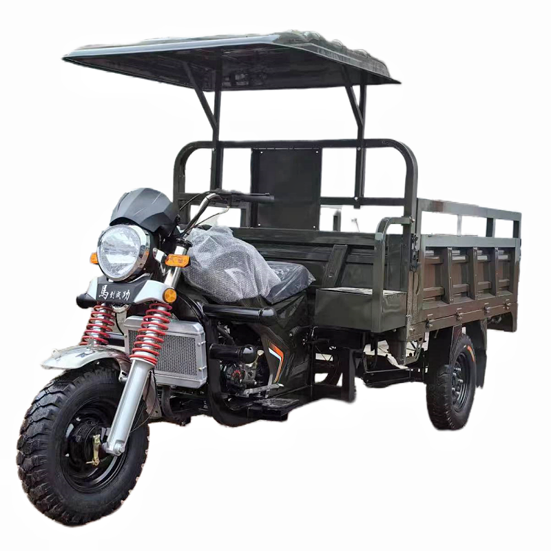 Hot Selling Adult Cargo Tricycle 200cc Petrol Tipper Motorized with Open Cabin