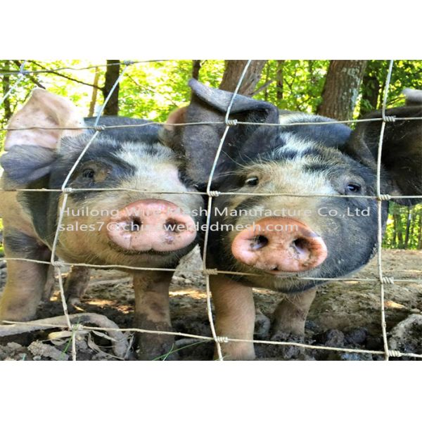 Alambre con poco carbono Mesh Corrosion Resistant de la junta de bisagra del alambre de acero los 0.9m