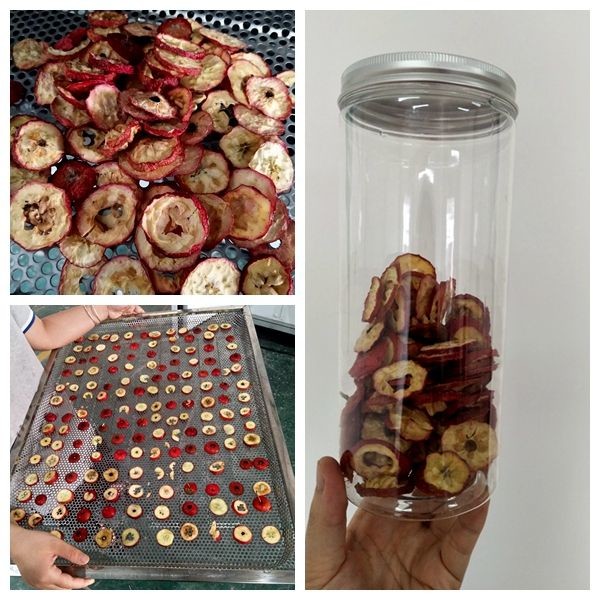 Secador do chá verde da caixa de engrenagens do equipamento de secagem da carne do fermento da cervejaria para explorações agrícolas