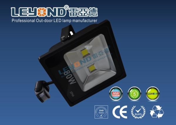 Aluminum Black High Power PIR Led Flood Light Outdoor With Sensor