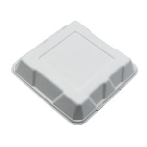 Biodegradable Takeout Containers