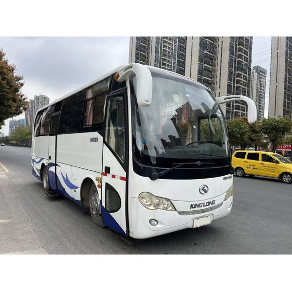 Дизельное топливо Mini Coach 4 места Minivans с LHD рулевым положением