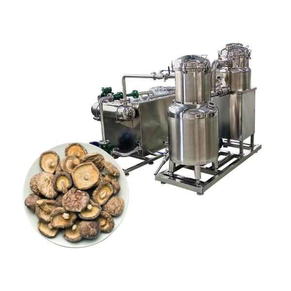 Máquina de fritura a vácuo de alta produtividade Joyshine Home