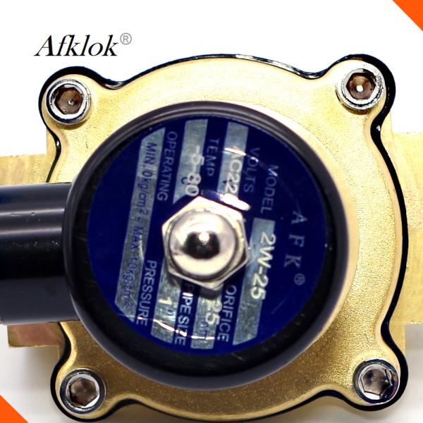 2W-250-25 Normally Closed 1 Inch 12 volt water control solenoid valve