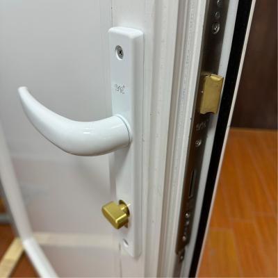Weather Resistant Aluminim Hinged Doors Customized High Quality Double Temper Glass