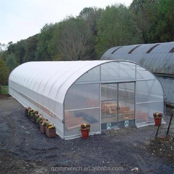 Small High Tunnel Film Greenhouse For Growing Tomatoes 6m-10m Width