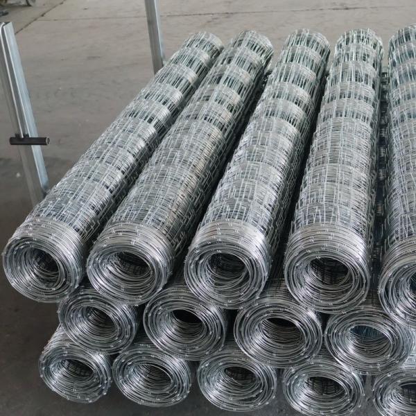 10m-30m Galvanized Grassland Wire Mesh Fence Netting For Sheep Field Deer Farm