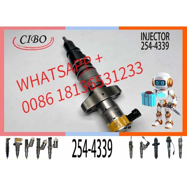 254-4339 Neutral and new Diesel Engine Parts C7 C9 Fuel Injector 254-4339 for 387-9433 254-4339