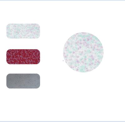 Texture Paint Aluminium Powder Coating Cellent Electrification SGS Certification