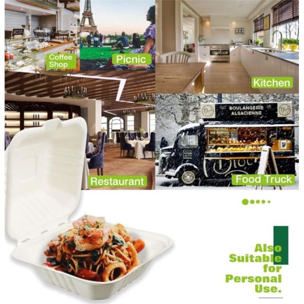 Hamburguesa del bagazo envases para llevar biodegradables de 6 pulgadas 20g