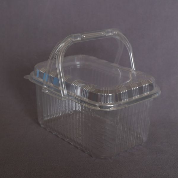 Clear PET Disposable Plastic Box Vegetables 253mm Fruit Packaging Plastic Box