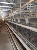 Caixas de frango de camada com galvanização a quente e empilhamento aumentam a densidade de alimentação e a produtividade.