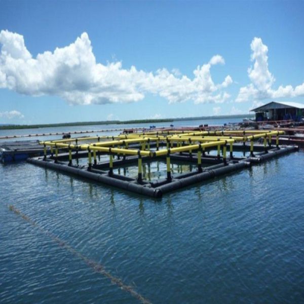 Large Size Square Fish Farming Cage Commercial Aquaculture Net Cage