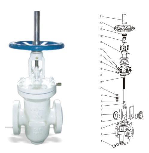 Through Conduit Gate Valve