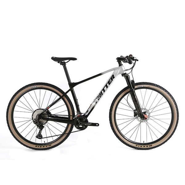 29 Inch Carbon Fiber MTB Bike Bicycle SHIMANO XT 24S Hydraulic Brake
