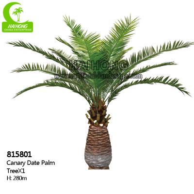 Árvore tropical artificial estética da altura 280cm para a decoração do escritório