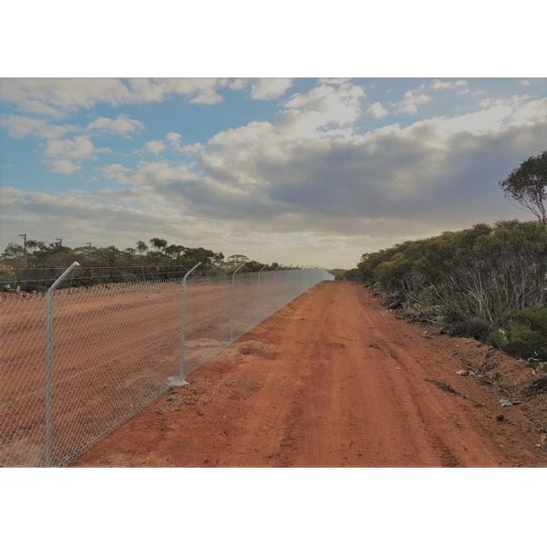 HD гальванизировало загородку звена цепи диаманта 50*50mm