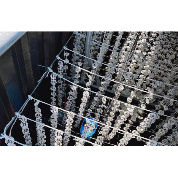 MBR Промышленное оборудование для очистки сточных вод Подземное оборудование для очистки сточных вод