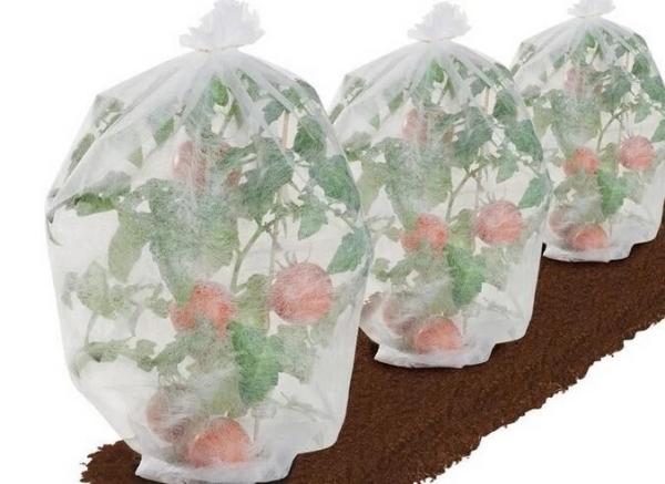 Fabric Fruit Protection Bags 250GSM