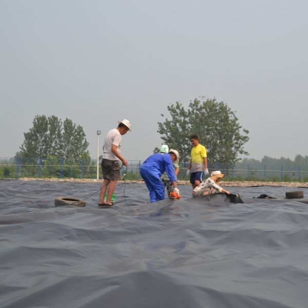 LDPE Geomembrane Flexible Pond Liner for Aquaculture, Irrigation Water Storage Systems