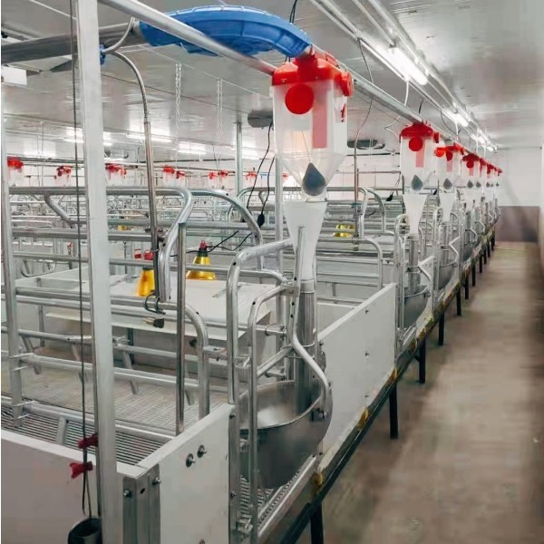 Hot Galvanized Steel Animal Feed Silo 3-30 Ton Feed Grain Bin