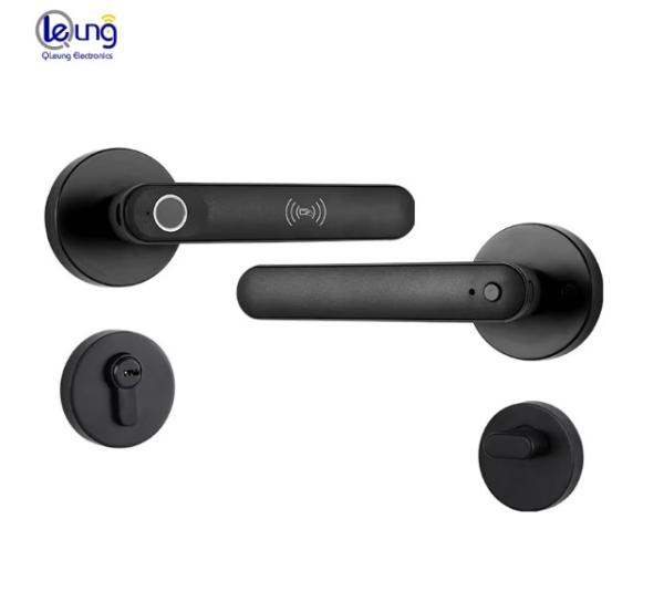 Qleung S607L Classic Black Tuya BLE APP Doorlocks Intelligent Fingerprint Key Smart Door Lock For Apartment Home Inside
