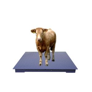 Balances industrielles résistantes avec le plat de Chequer et les capteurs de pression de piézoélectrique