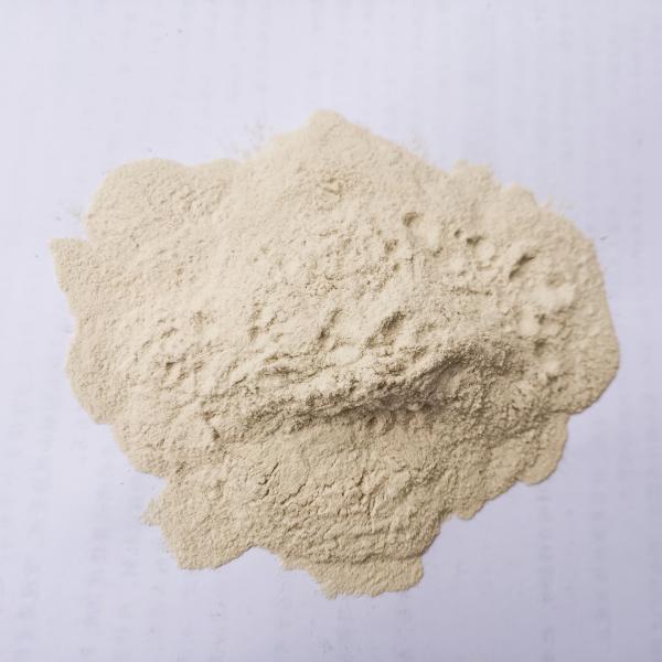 Organic Fertilizer Enzymatic Hydrolysis Amino Acid 80% Powder For Plants