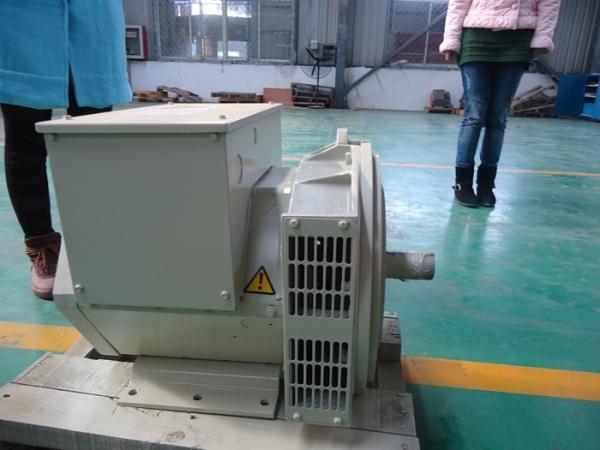 gerador sem escova 200kw/250kva do alternador dobro Auto-entusiasmado do rolamento