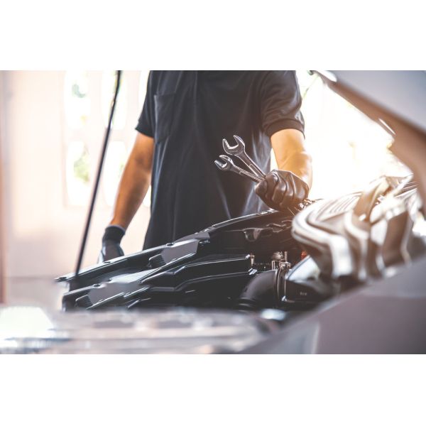 Experimenta lo mejor del golf con 6.67 caballos de fuerza y un cargador de 48V/25A en nuestro avanzado diseño de carrito de golf de 4 plazas