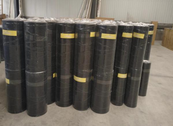 Corrosion Resistance 15Mm Galvanized Welded Wire Mesh Rolls for Small Hole Chicken Coop