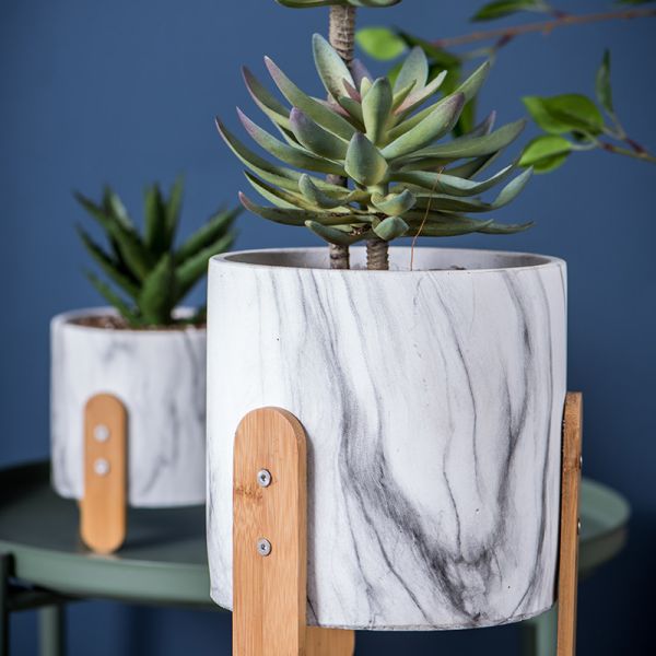 Баки завода Succulents цветочных горшков цемента мини вокруг плантаторов кактуса плантаторов столешницы плантаторов