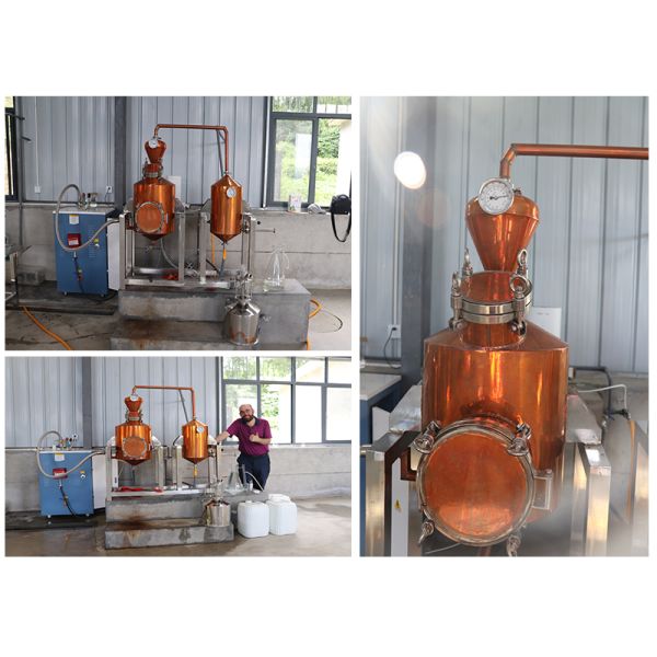 220V/380V Voltage Jasmine Essential Oil Extractor Machine Lavender Steam Distillation Equipment