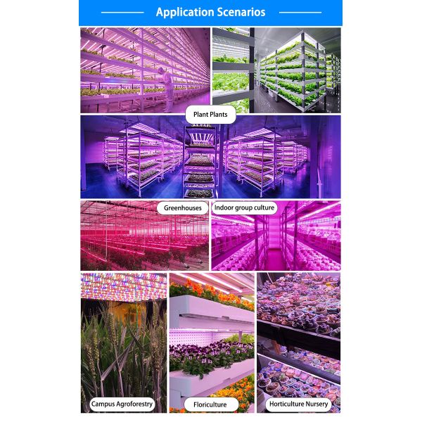 High Output T8 LED Grow Light 2FT Plant Grow Light Strip Full Spectrum With Reflectors