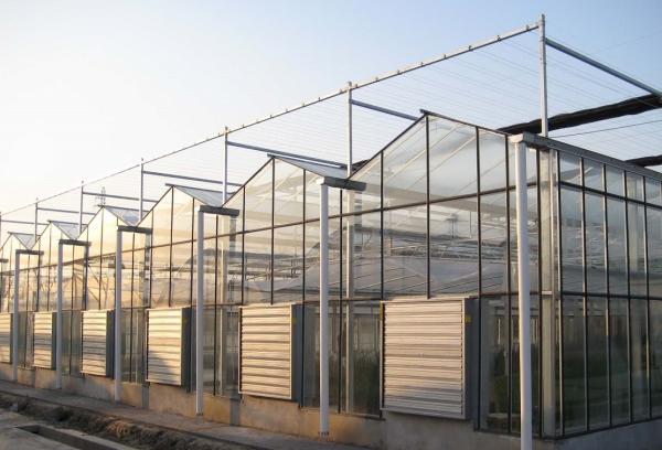 Modernization Intelligent Greenhouse with Multi-Function