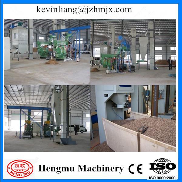 China manufacture high capacity big wood briquette plant with CE approved