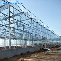 Invernadero de cristal galvanizado palmo multi de Venlo de la cubierta de cristal del marco de acero