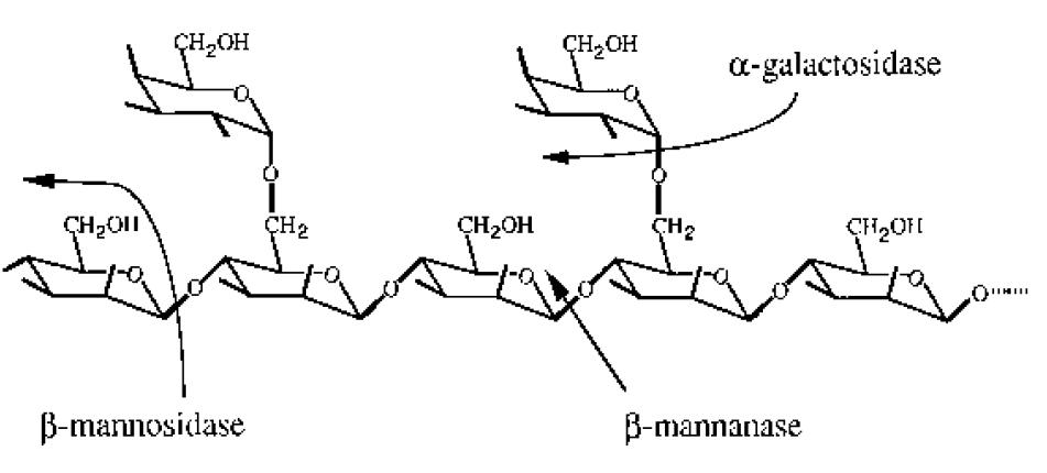 Habio Alpha Galactosidase 50,000 U/G Powder Water Soluble Food Grade Additives