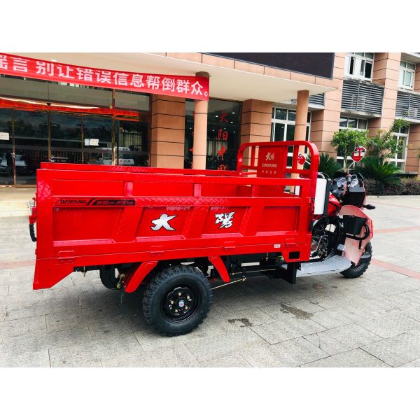 800W DAYANG DY-R1 RUITENG 250cc Tricycle cargo pour lourds CCC Trois roues moto