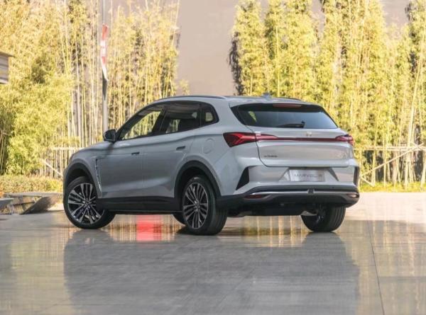 Feifan Marvel R 2021 Pure electric Rear driving Standard Version  Mid  SUV Touch Screen
