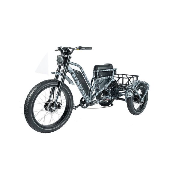 20 Wheel Size Electric Fat Tire Bike with 48V 500W Motor Power and Lithium Battery
