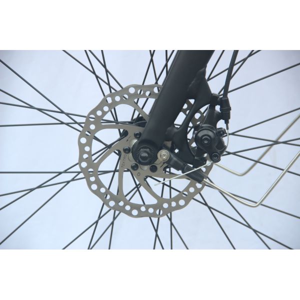 700C Wheel Portable Electric Bike Folding Non Battery Operated Bicycle