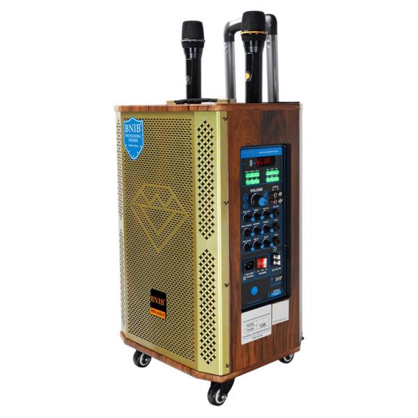 Custom Logo Bluetooth Party Box Speaker Wireless Wooden 12 Inch Portable Speaker