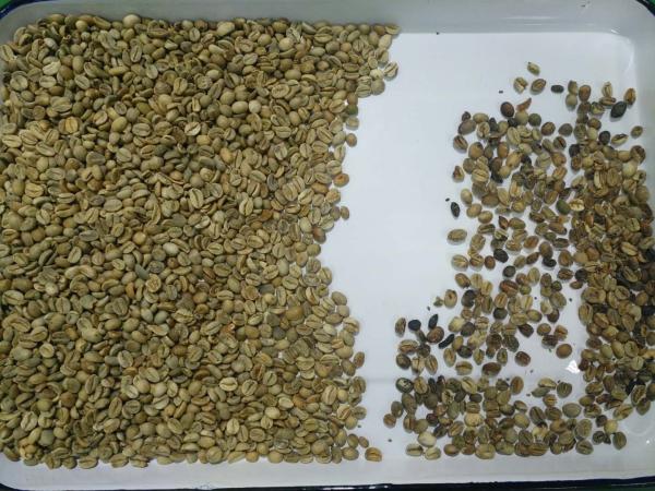 La trieuse automatique de couleur de haricots de lentille de rein de soja a adapté aux besoins du client